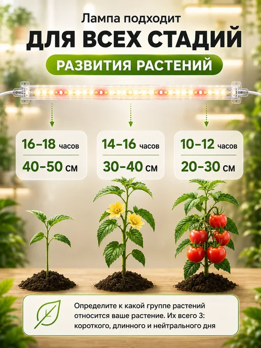 Host Фитолампа для растений и рассады полного спектра 4 шт. 40 Вт, 4 шт, 40 Вт, фото 6