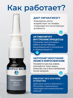 Пептид Ipamorelin (Ипаморелин) Apex Bio спрей 10 мг, для улучшения  метаболизма, восстановления и роста мышц Apex Bio 480168783 купить за 5544  ₽ в интернет-магазине Wildberries