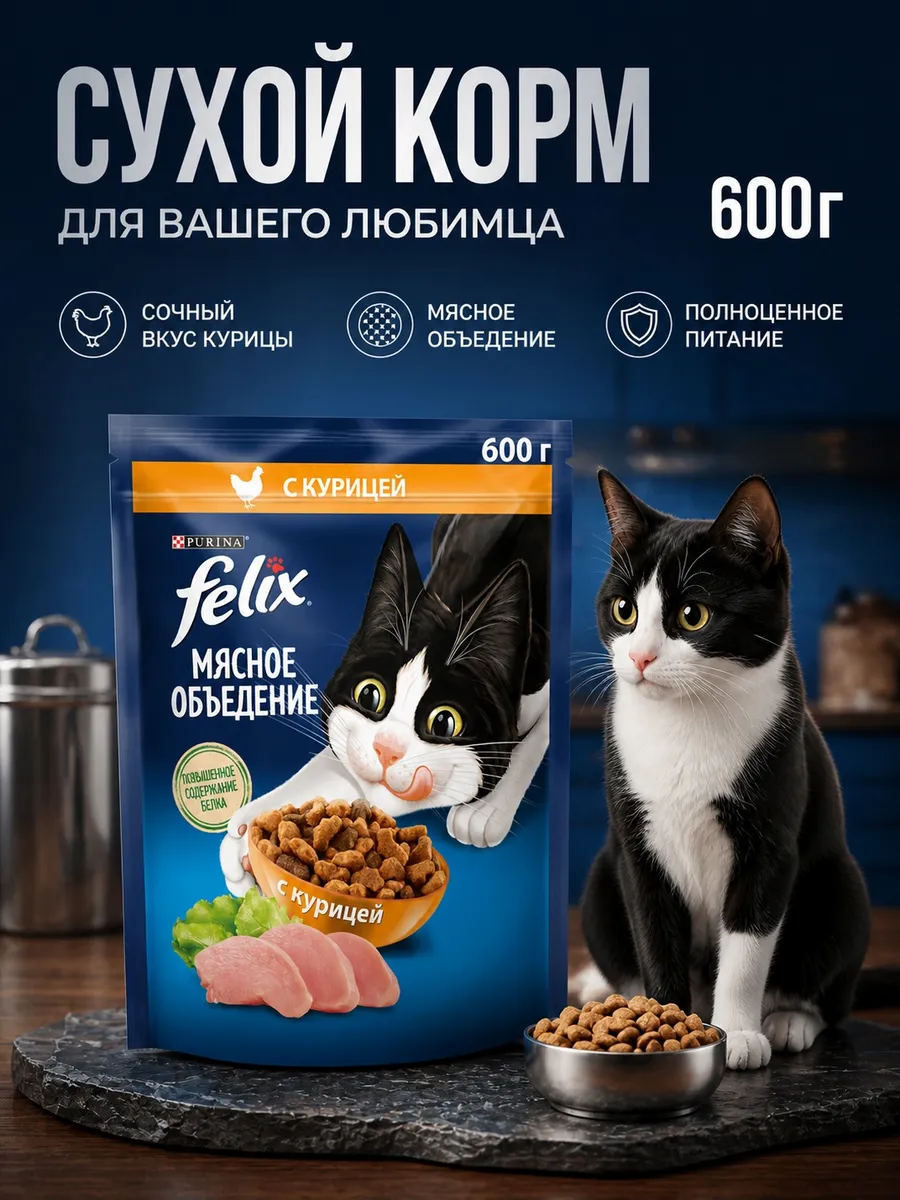Корм сухой для кошек курица 600 г