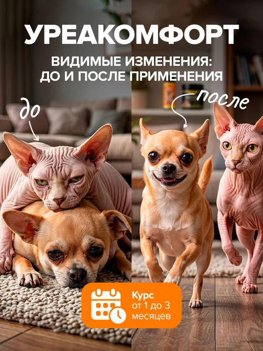 Pet's health Витамины для здоровья почек кошек и собак Уреакомфорт, вариант, фото 7