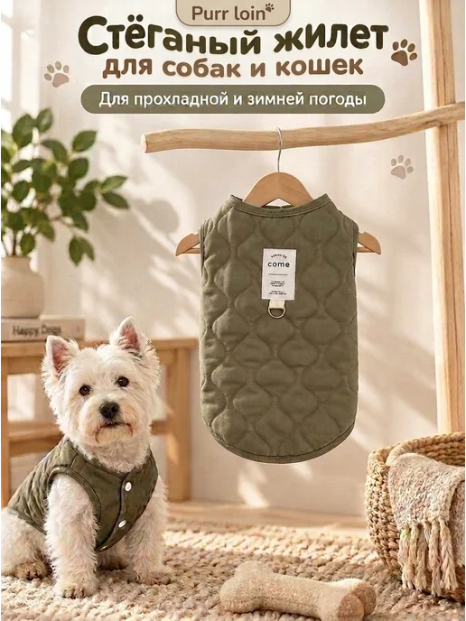 ANIQWUBE Жилетка для кошек и собак, зеленый