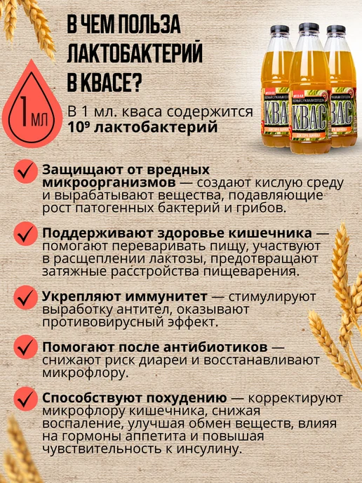 Доктор Щинов Квас Щинова с ржаным солодом с лактобактериями, 3 шт, 3 шт, фото 3