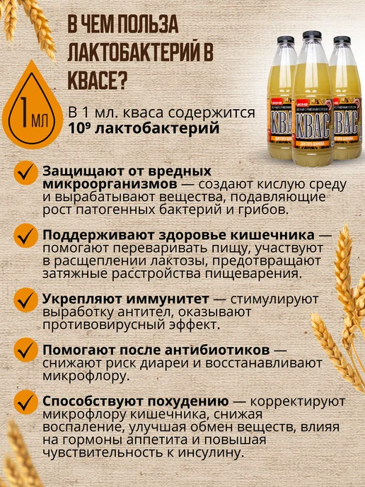 Доктор Щинов Квас Щинова с ячменным солодом с лактобактериями, 3 шт, 3 шт, фото 3