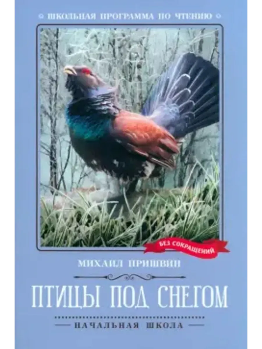 Птицы под снегом