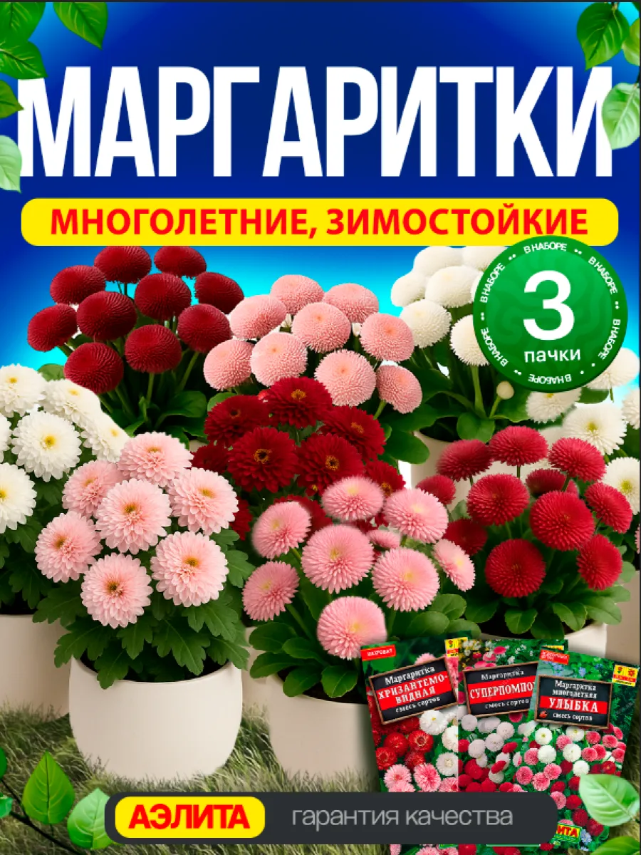 Семена цветов маргаритки многолетние 3 шт
