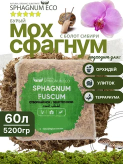 SPHAGNUM ECO Мох сфагнум для террариума, орхидей и других растений 60 л