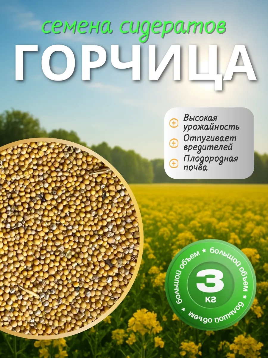 Горчица Семена 3 кг Сидераты для огорода