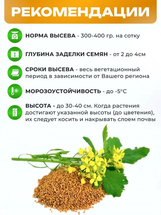 ЗЕЛЕНЫЙ УГОЛОК Горчица Семена 5 кг Сидераты для огорода, 5 кг, фото 2