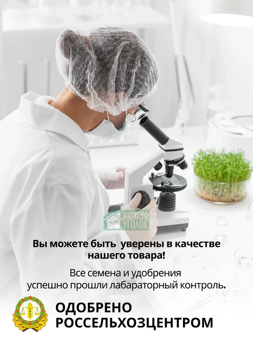 ЗЕЛЕНЫЙ УГОЛОК Горчица Семена 5 кг Сидераты для огорода, 5 кг, фото 8
