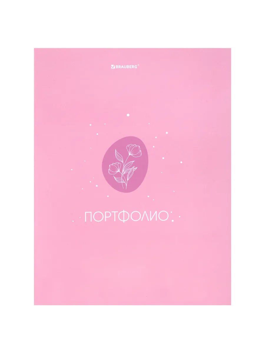 Папка-портфолио универсальная, 4 кольца, 20 файлов