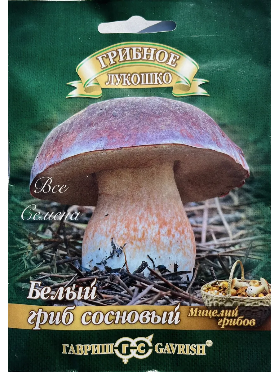 Белый Гриб Сосновый, 1 пак, мицелий 15мл