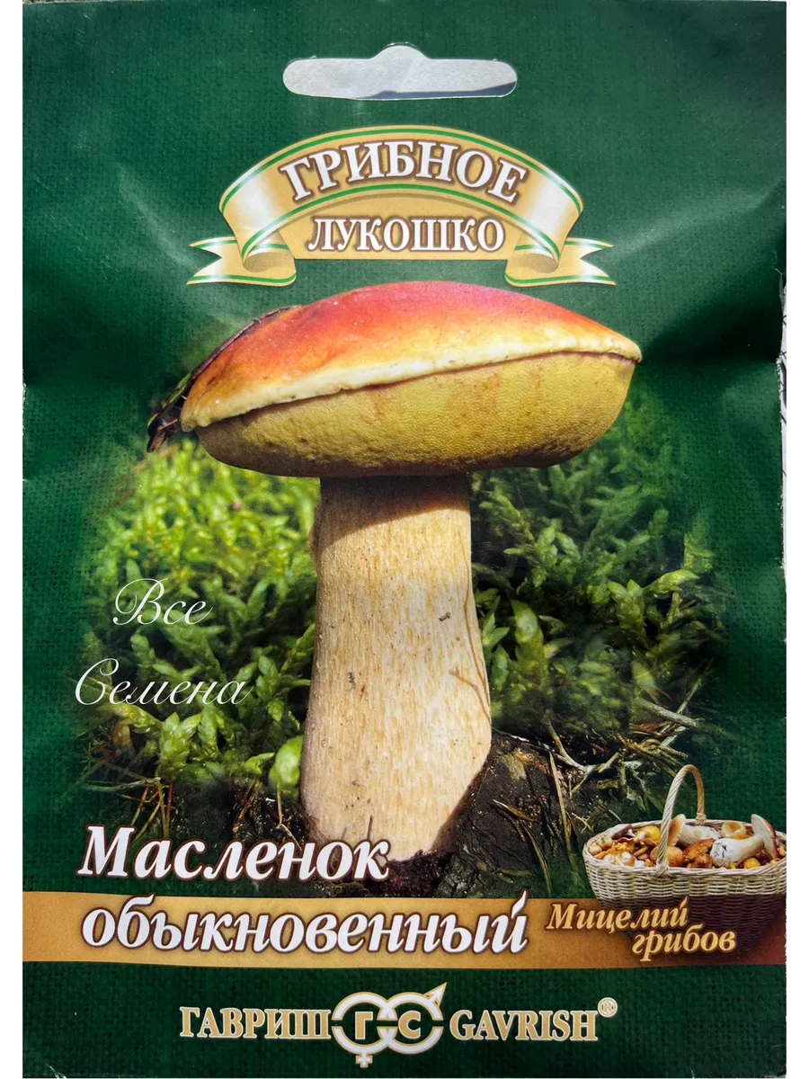 Гриб Масленок Обыкновенный, 1 пак, мицелий 15мл