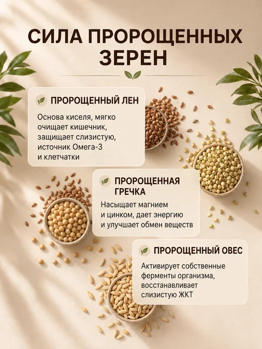 Живой кисель для ЖКТ Натуральный состав 100 г, 100 г, фото 2