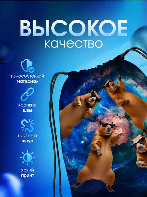 Мешок для обуви большой в школу Капибара, синий, фото 2