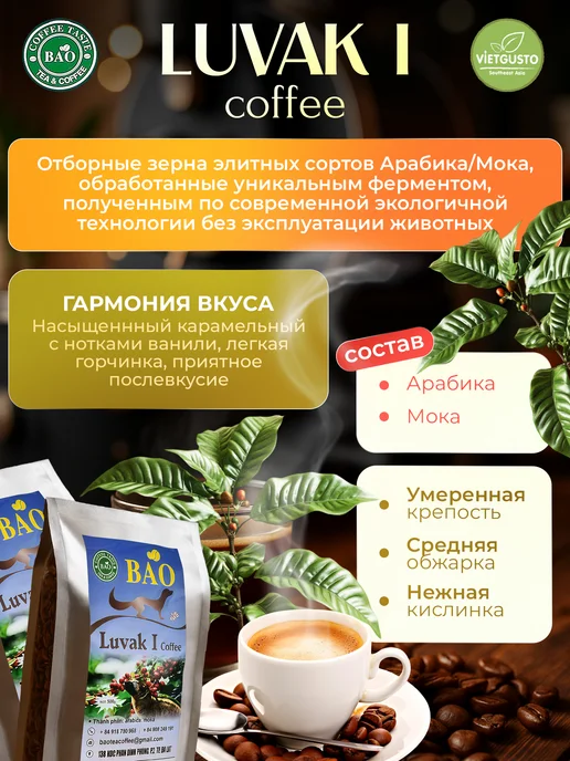 BAO Кофе в зернах вьетнамский Лювак Ай 500 гр, 500 г, фото 2