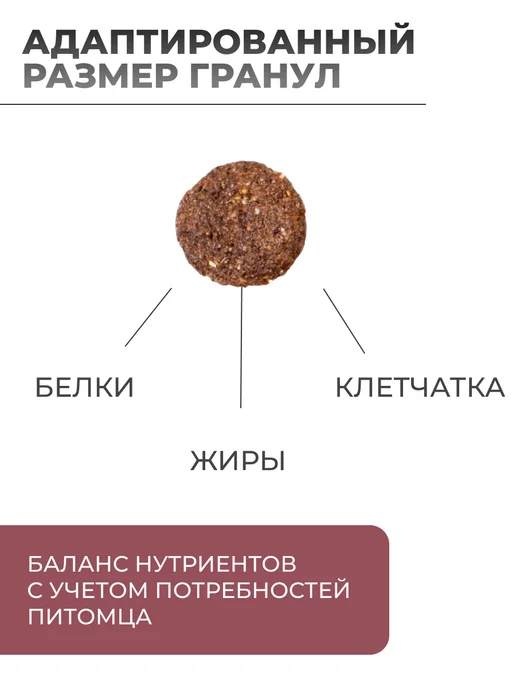 Сухой корм MONGE Dog Speciality для собак, взрослые, говядина, 12,1 кг, фото 2