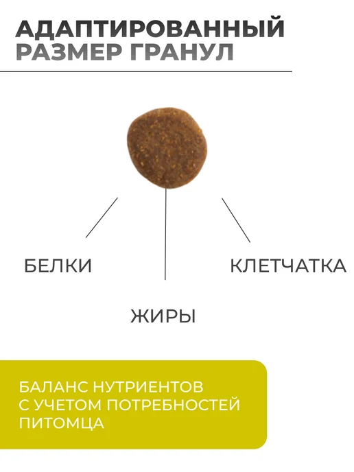 Сухой корм TRAINER Natural для собак, взрослые, мелкие, курица, 2 кг, фото 2