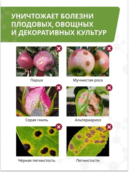 Агрусхим Фунгицид Дискор 2 мл от парши, гнилей и мучинстой росы, 6 шт, 2 мл, 6 шт, фото 3