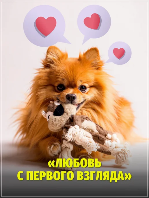 ЗООГЕНИЙ Игрушка для собак Белка без наполнителя с пищалкой-шуршалкой, коричневый, фото 5