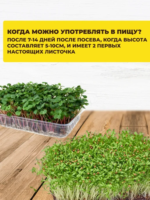 Микрозелень набор для выращивания, 5 шт, фото 3