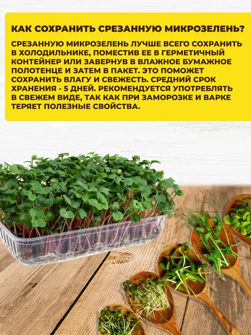 Микрозелень набор для выращивания, 5 шт, фото 6