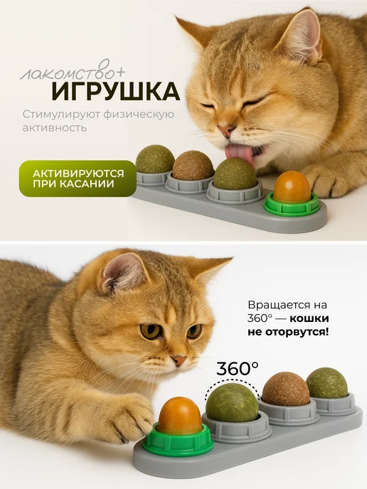 КотоГраф Набор лакомств для кошек с мятой, вариант, фото 4