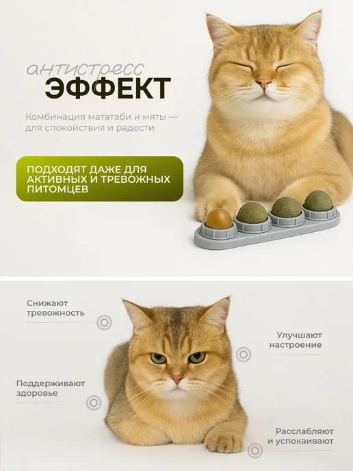 КотоГраф Набор лакомств для кошек с мятой, вариант, фото 5