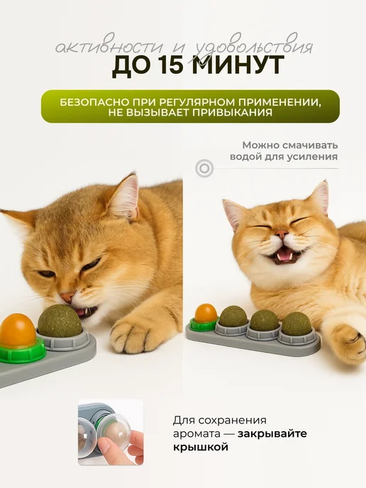 КотоГраф Набор лакомств для кошек с мятой, вариант, фото 6