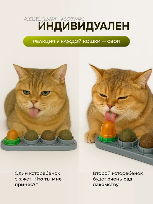КотоГраф Набор лакомств для кошек с мятой, вариант, фото 7