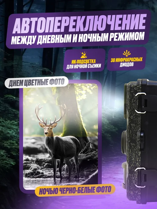 Фотоловушка для охоты и дачи с дисплеем и флешкой, вариант, фото 3