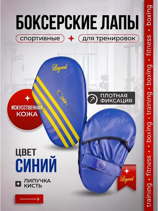 DR-SPORT Боксерские лапы для тренировок, голубой
