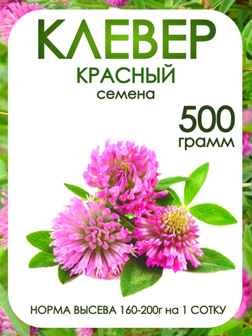 Клевер красный луговой семена, красный, в упаковке 510 г