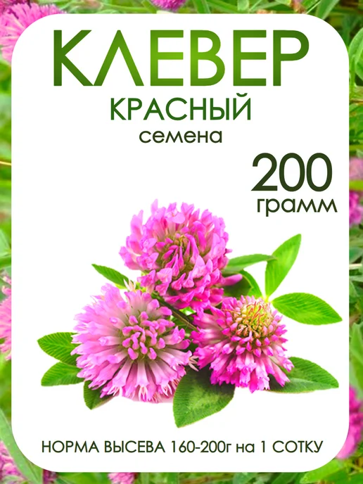Клевер красный луговой семена, красный, в упаковке 310 г