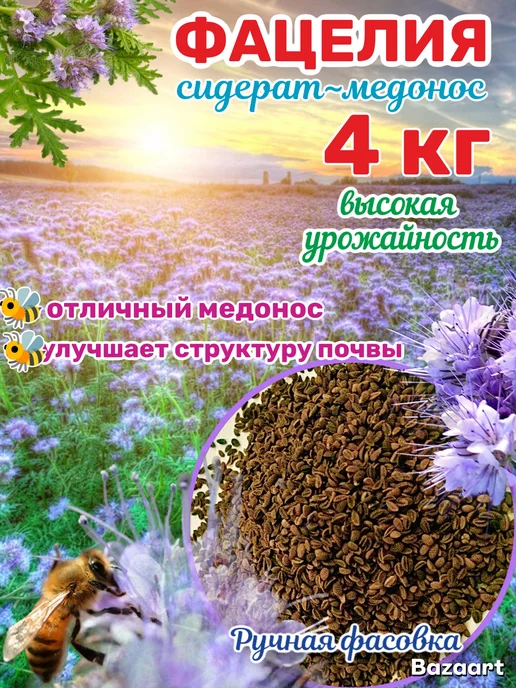 Фацелия семена 4 кг, 4 кг
