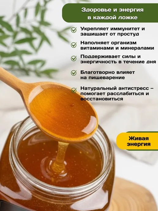 Пасеки Сибири Мёд дягилевый 2026 натуральный 500 г, 500 г, фото 4