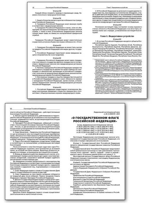 Феникс Конституция Российской Федерации, вариант, фото 3