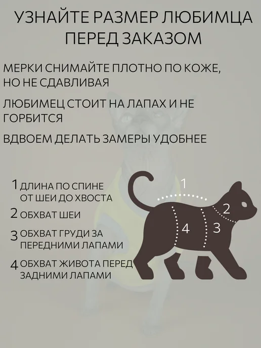 Emmy Stil Одежда для лысых кошек сфинкс теплая, серый, фото 3