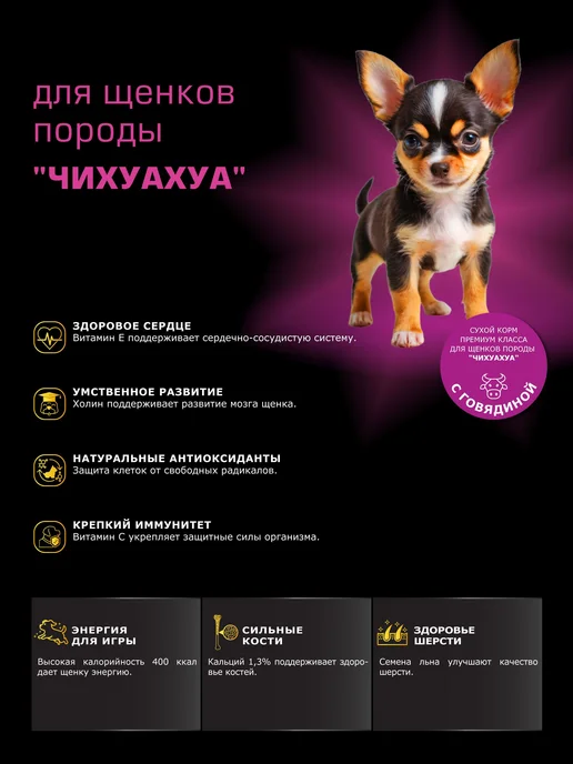 Сухой корм QUATTRO Чихуахуа для собак, щенки, говядина, 3 кг, фото 2