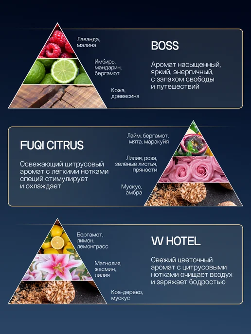 primo Сменные флаконы для ароматизатора в машину, черный, фото 2