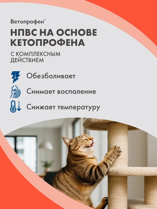 Neoterica Ветопрофен для кошек и мелких собак 10 таблеток, вариант, фото 2