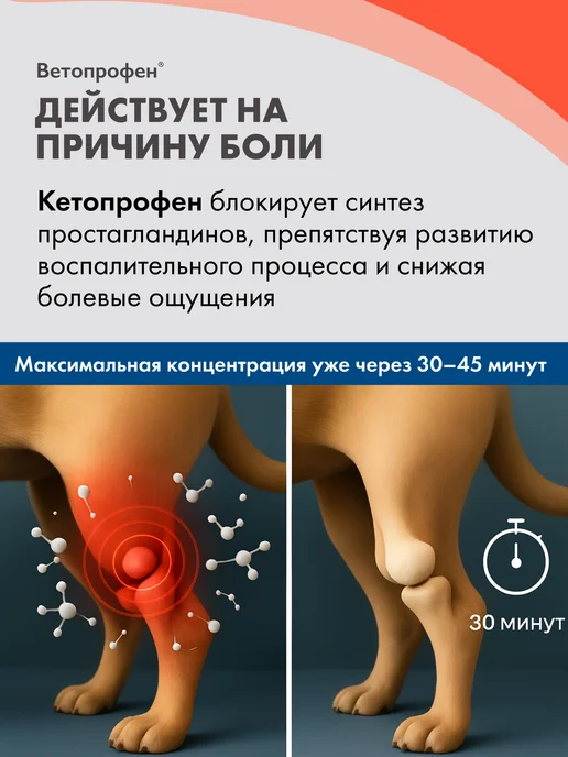 Neoterica Ветопрофен для кошек и мелких собак 10 таблеток, вариант, фото 3