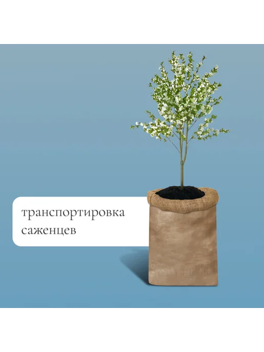 My Sweet Home Джутовый мешок садовый 74x114 см, плотность 30x35 нитей, 74x114 см, фото 3