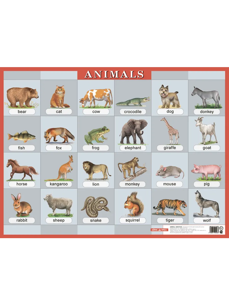 Плакат "Животные/Animals" А2