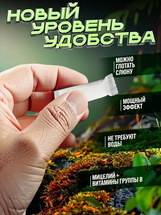 Brainvolt Грибные паучи Mushroom набор 5 банок, мята, вариант, фото 3