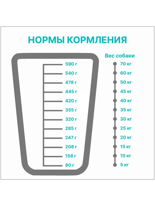 Сухой корм PREMIER Премьер для собак, средние, индейка, ягненок, 10 кг, фото 2