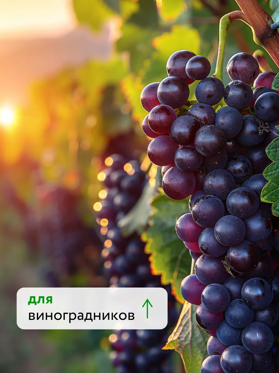 Стимулятор роста растений Листовое удобрение для зерновых ФФ — фото 7
