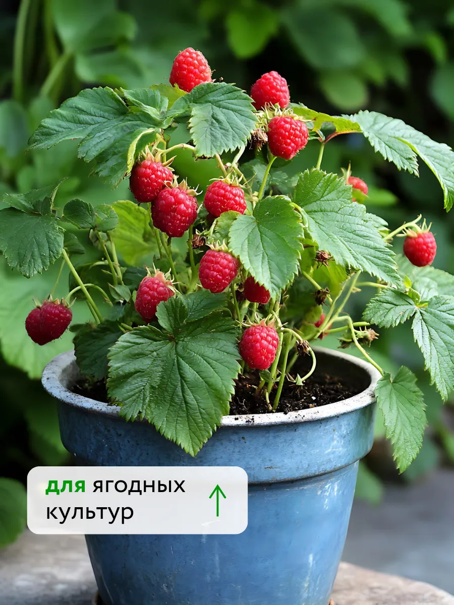 Азотно Калийное удобрение для растений Текнокель Амино K — фото 5