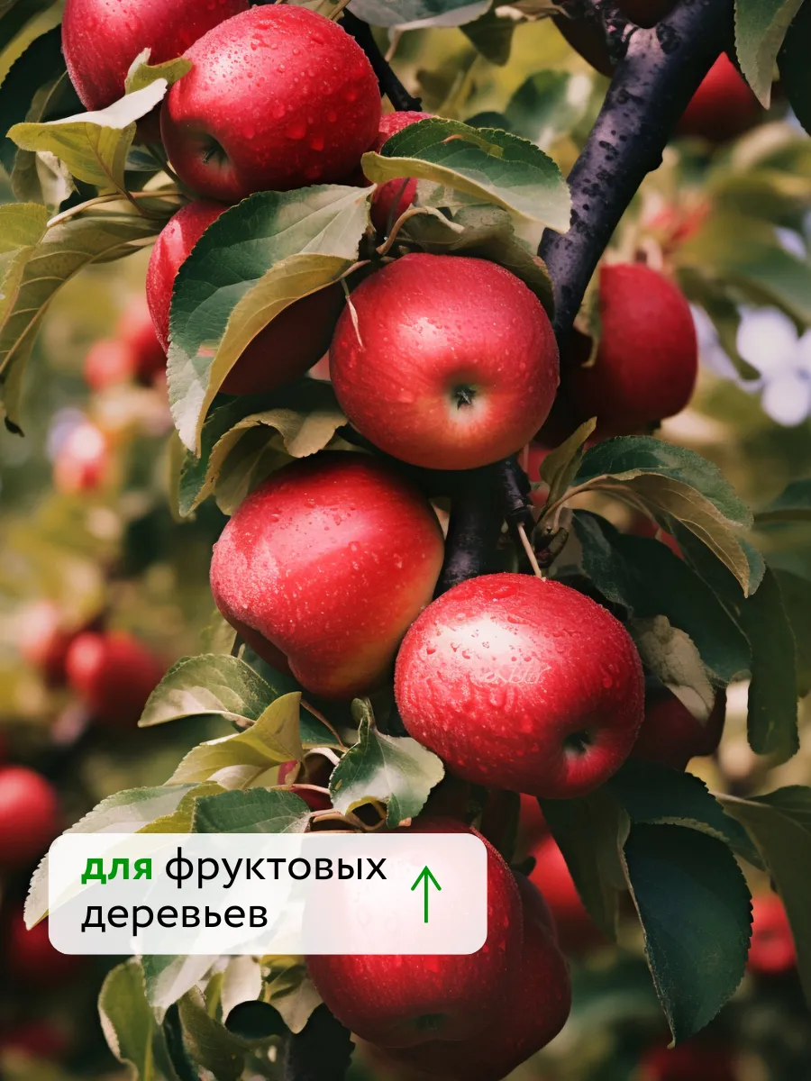 Азотно Калийное удобрение для растений Текнокель Амино K — фото 6