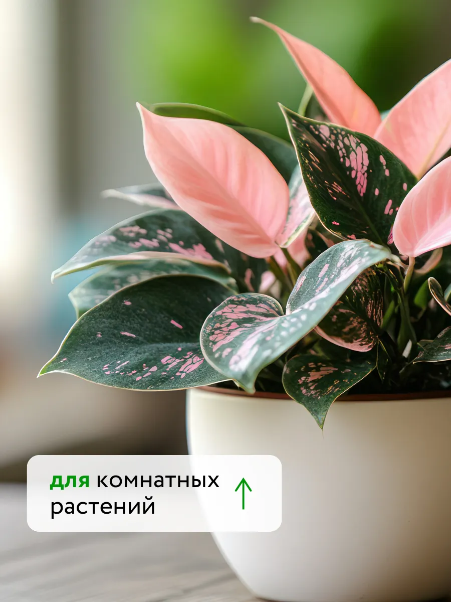 Азотно Калийное удобрение для растений Текнокель Амино K — фото 8
