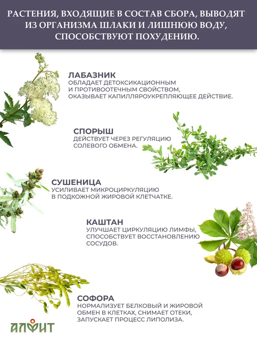 АЛФИТ Сбор для бани противоцеллюлитный "Фитопар 2", вариант, фото 2